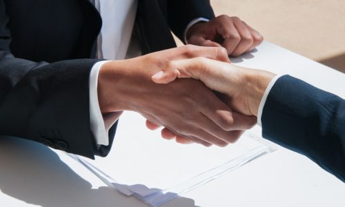 Mr. Wam's cooperation with online stores