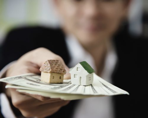 [fpdl.in]_business-man-show-money-bank-note-make-financial-plan-invite-people-sell-buy-house-car-monetary-properties-loan-credit-insurance-concept_1150-13576_full